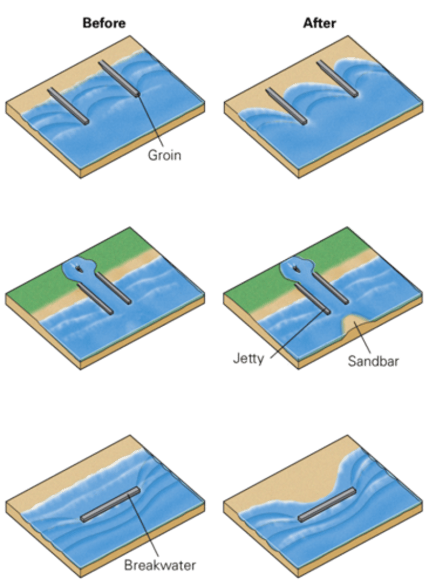 <p>groins - concrete walls protruding perpendicular to the shore</p><p>jetties - protect entrance to a harbor</p><p>breakwater - parallel to the beach to prevent full force waves reaching the harbor</p>