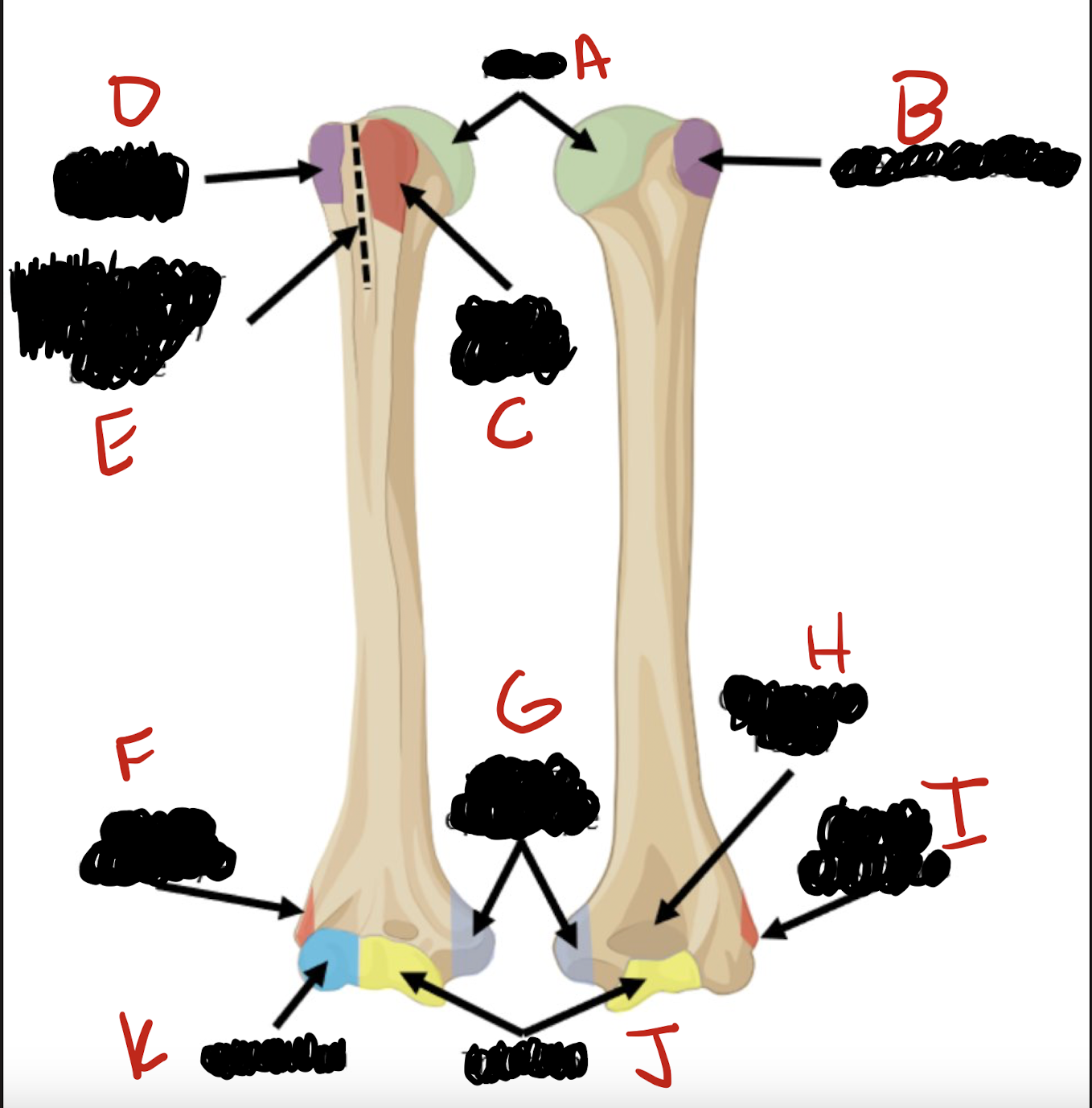 <p>What is denoted by the letter H </p>