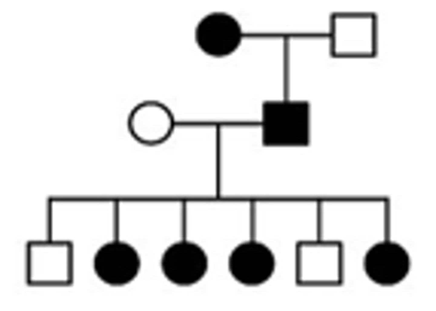 <p>X-Linked dominant</p>