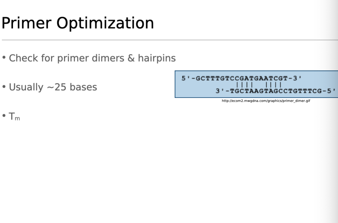 <p>Primer Optimization</p>
