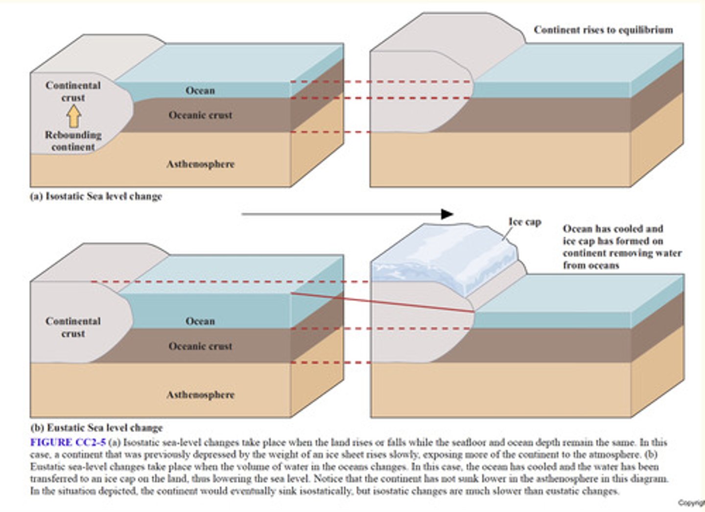 <p>A local change in sea level caused by the vertical movement of the land, often due to post-glacial rebound.</p>