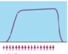 <p>Fused; tons of stimuli; sustained contraction without relaxation</p>