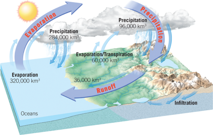 <p>hydrologic cycle</p>