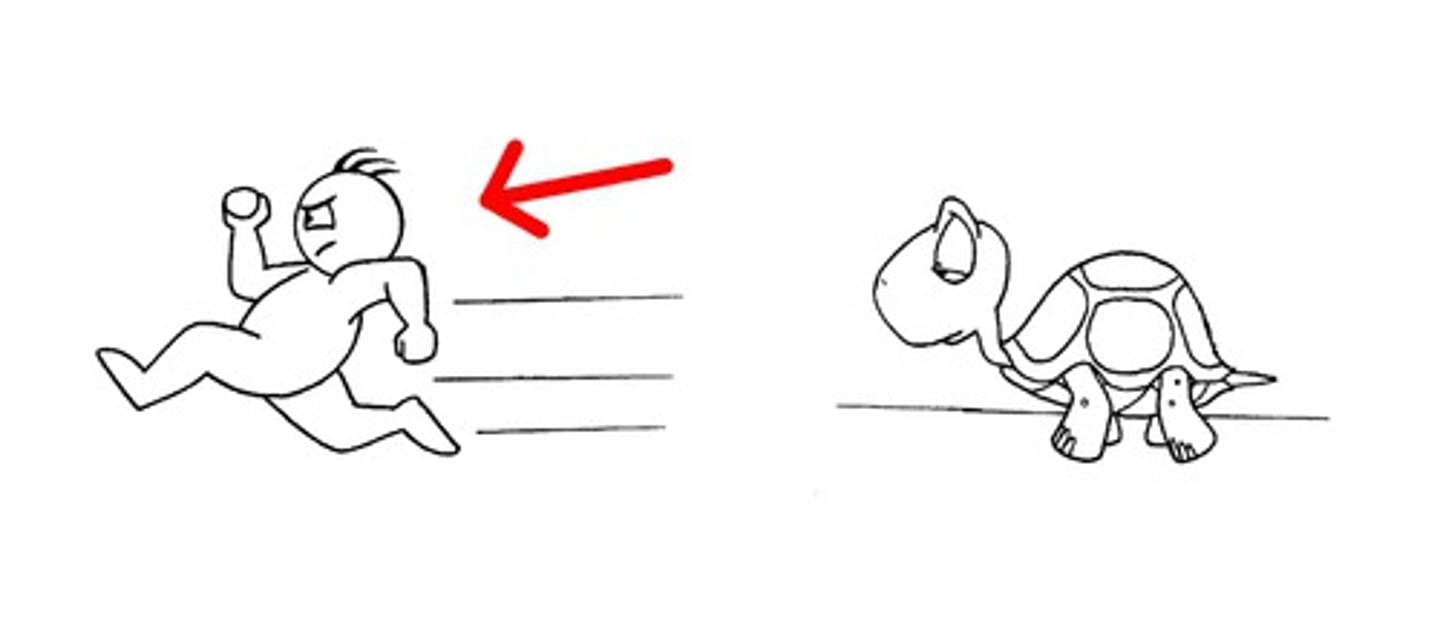 <p>to be fast</p>