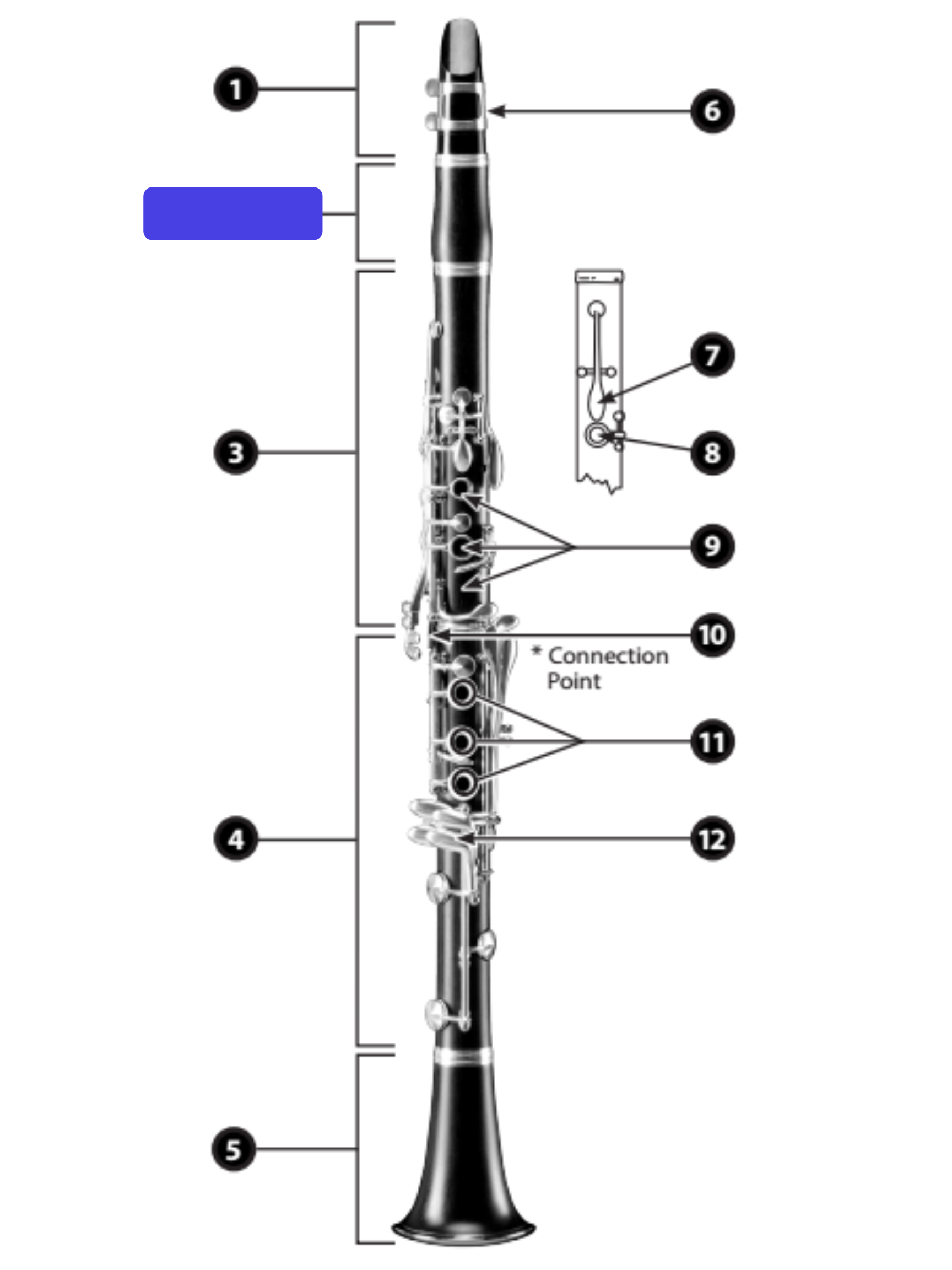 knowt flashcard image