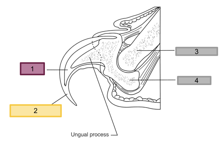 <p><span style="background-color: transparent;">#2</span></p>