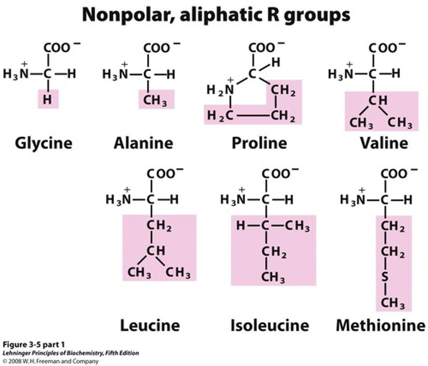 <p>Nonpolar, polar but uncharged, and charged (positively or negatively).</p>
