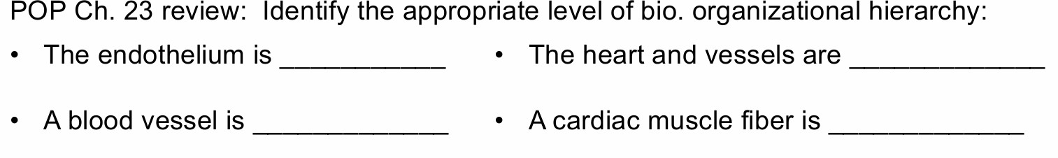 <p>Identify the appropriate level of bio-organizational hierarchy?</p>