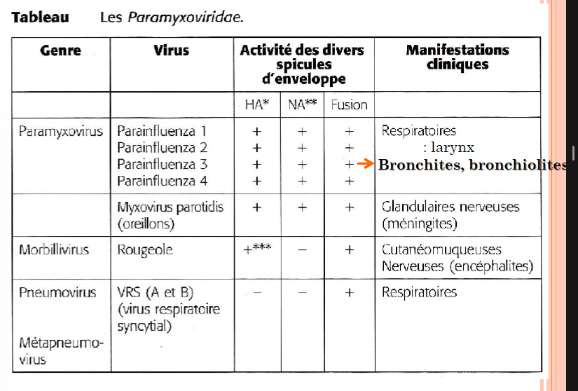 <ul><li><p>Paramyxovirus</p></li><li><p>Morbillivirus</p></li><li><p>Pneumovirus</p></li></ul><p></p><p>Système respiratoire</p><p></p><p>Virus à ARN monocaténaire, non segmenté, de polarité (-), Capside hélicoïdale, enveloppée</p>