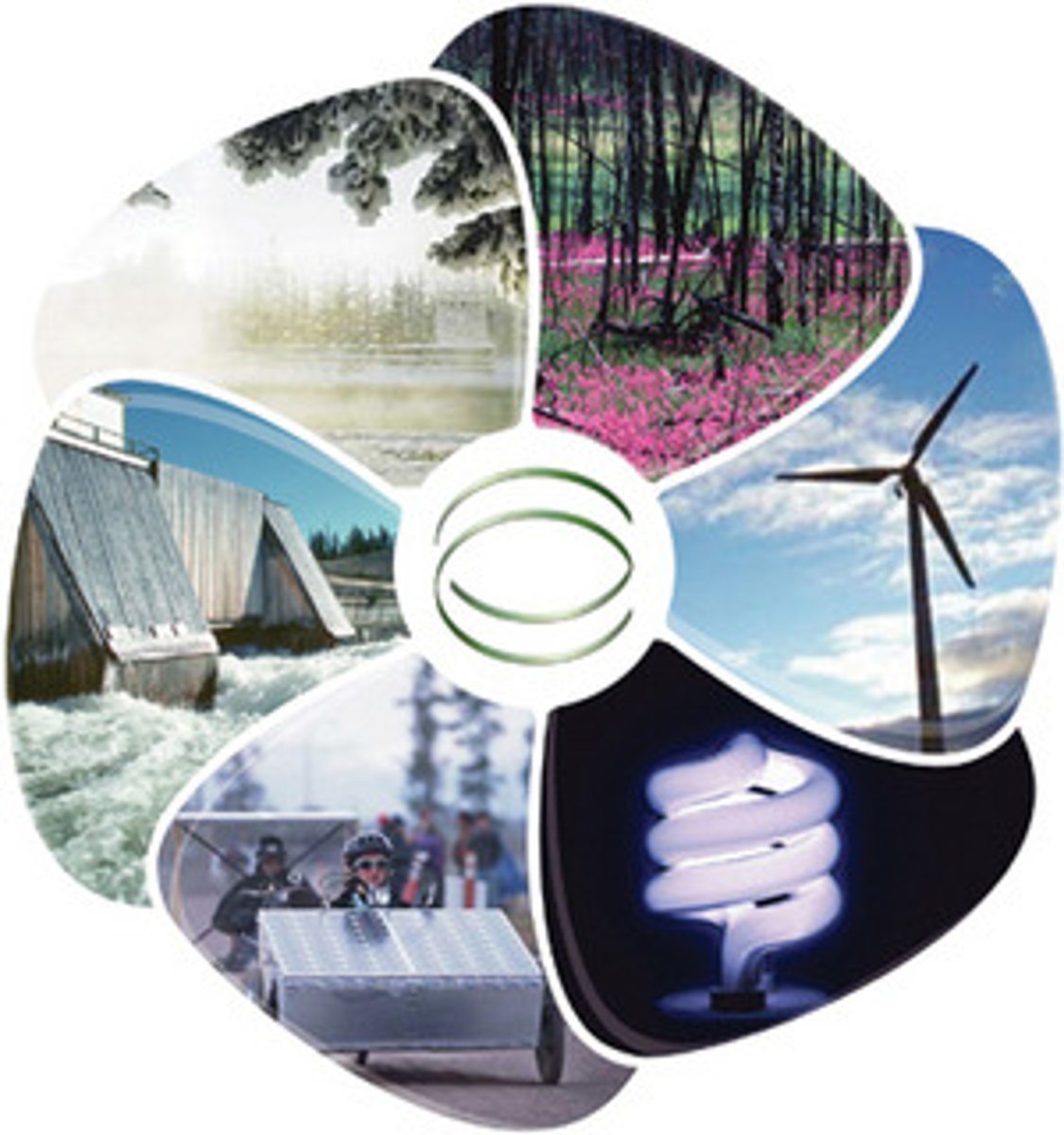<p>renewable</p>