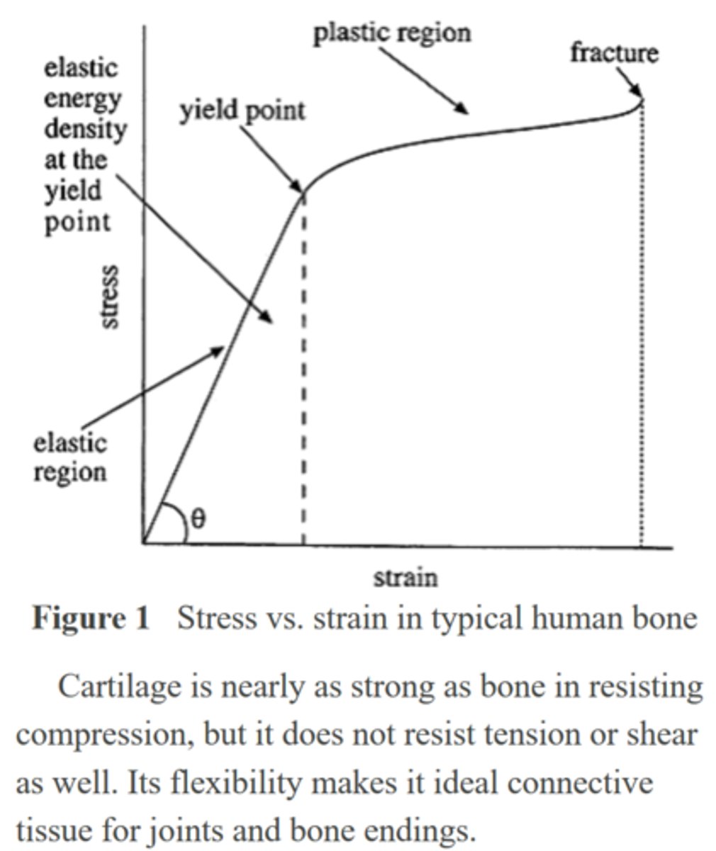 <p>A human tibia with a cross-sectional area of 0.0002 m2 undergoes a 1% change in length when compressed by a force of 20,000 N. What is the approximate elastic energy density within the bone while compressed if the bone has not reached its yield point?</p><p>A. 5 × 103 J/m3</p><p>B. 1 × 104 J/m3</p><p>C. 5 × 105 J/m3</p><p>D. 1 × 106 J/m3</p>