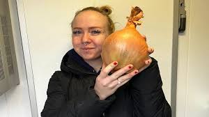 <p>onion</p>