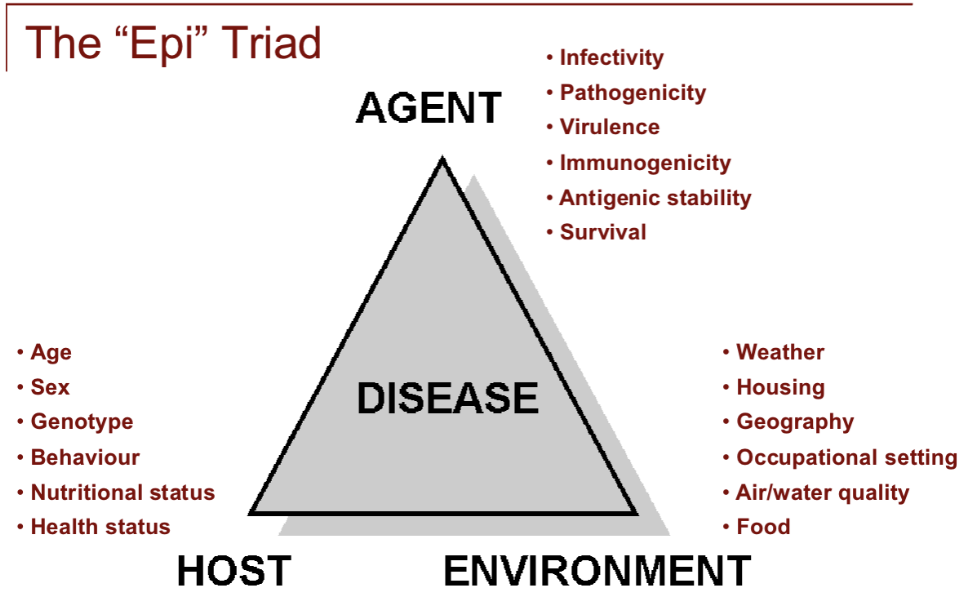 <p>Agent, Host, Environment</p>