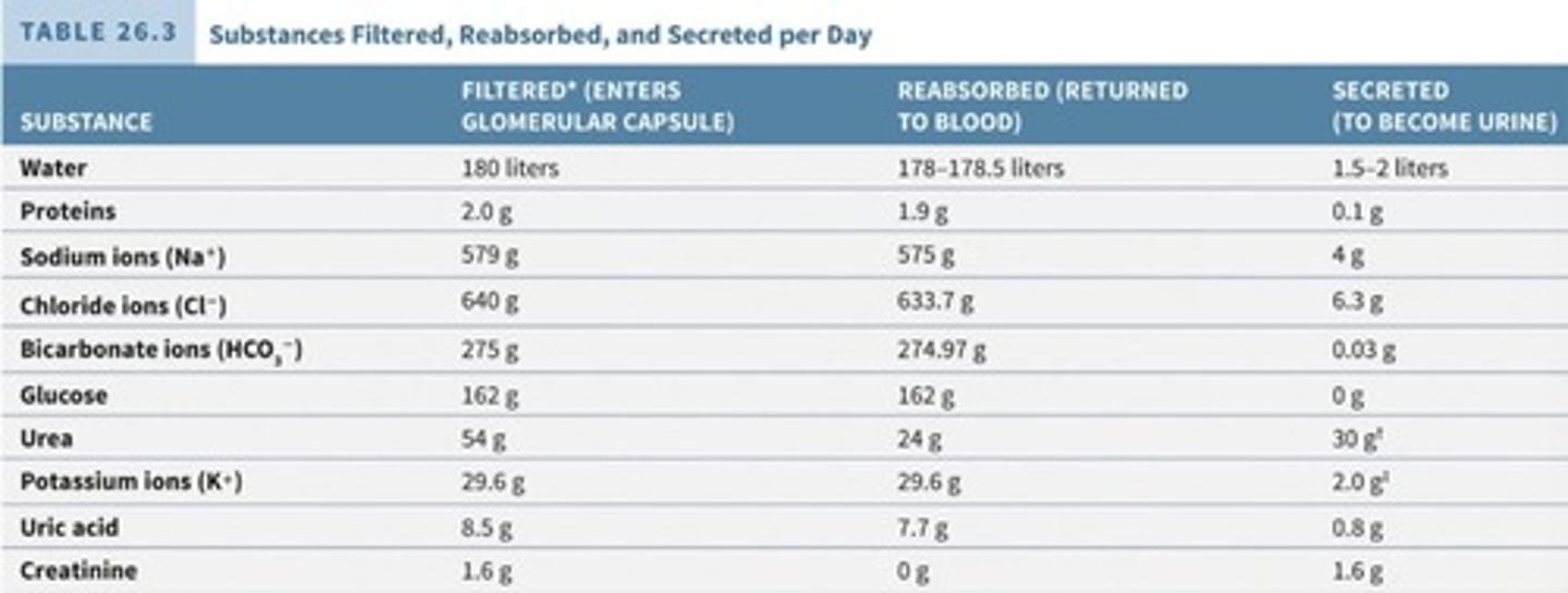 <p>Regulation of blood pH, H+, HCO3-.</p>
