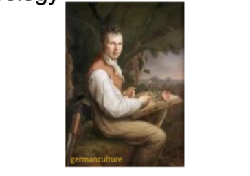 <p>European Origins </p>