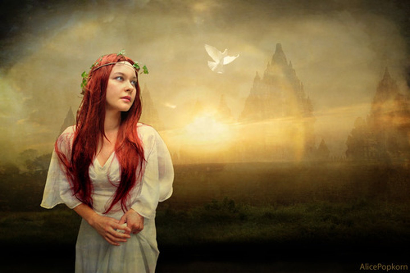 <p>tầm nhìn. Ex: Without a clear _____, the company couldn't move forward.</p>