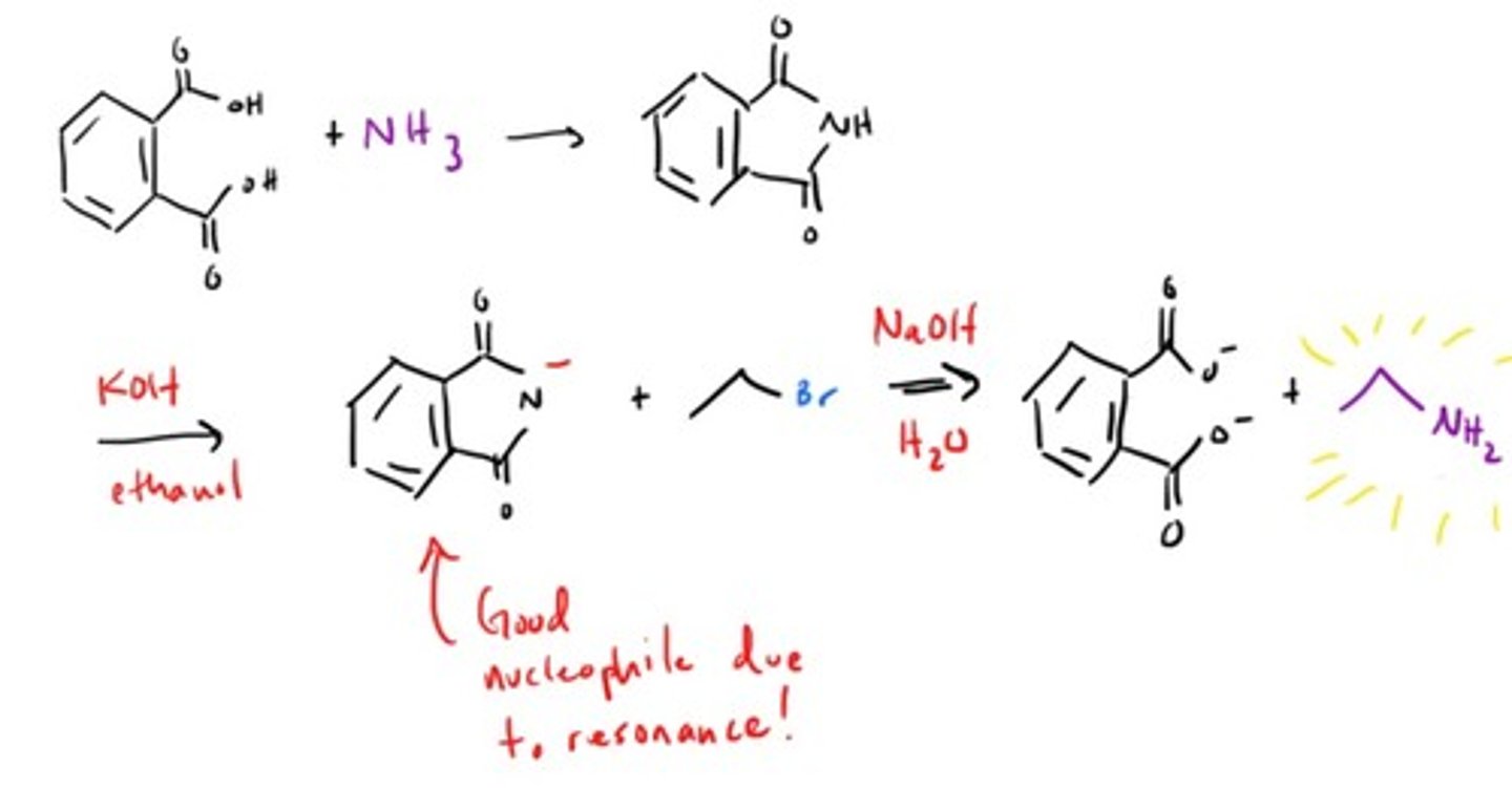 <p>Gabriel drank ammonia! OH NO!</p>