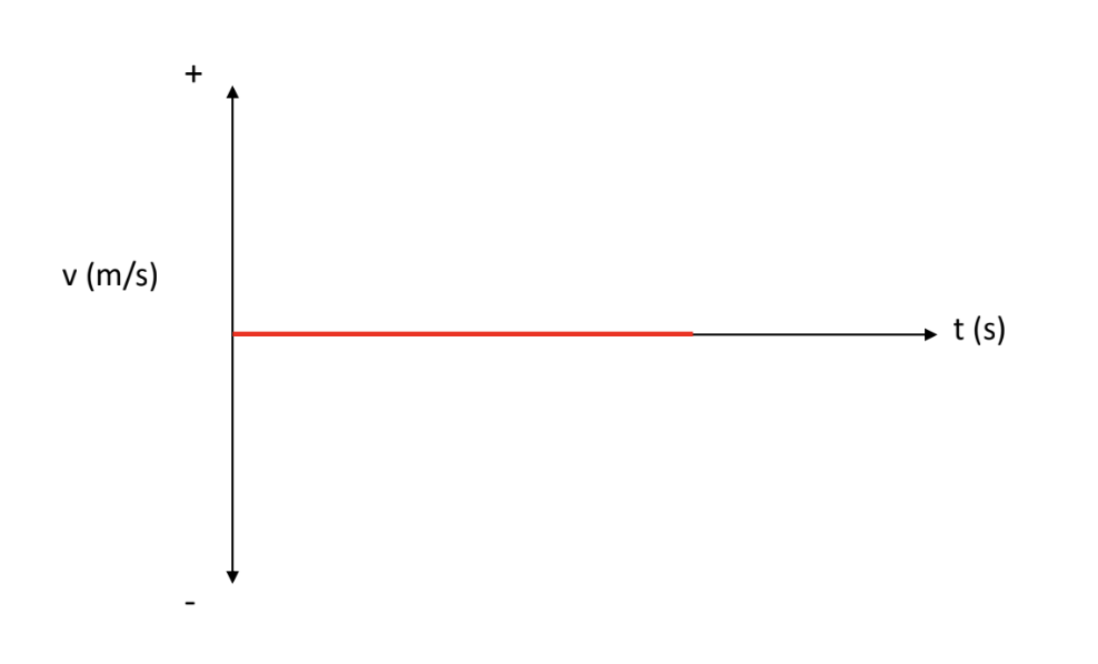 <p>[VELOCITY-TIME GRAPH] How is the object moving?</p>