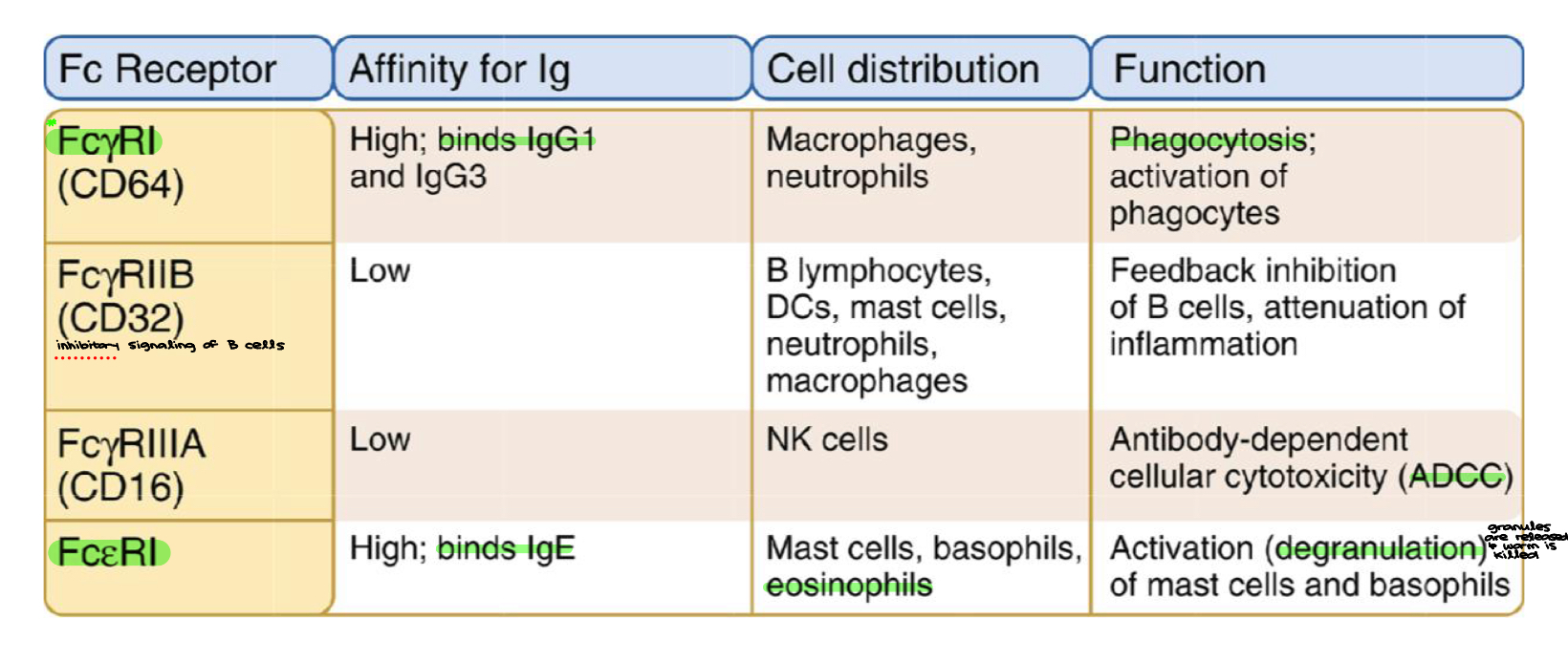 knowt flashcard image