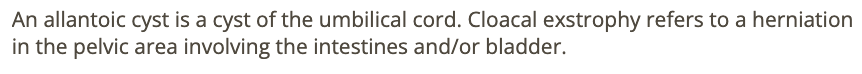<p>b) ectopia cordis </p>