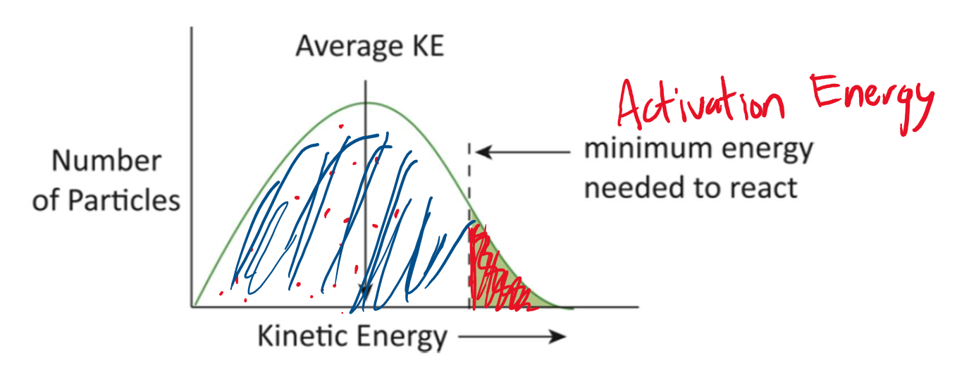 <p>Kinetic energy distribution (Maxwell-Boltzmann distribution)</p>