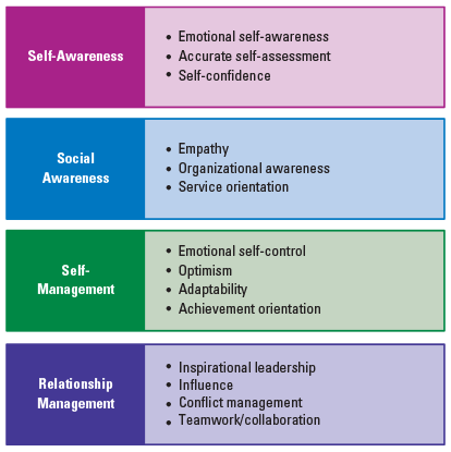<p>Self-awareness, social awareness, self-management, and relationship management.</p>
