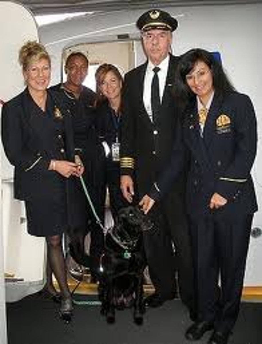 <p>Es el grupo de personas que se encargan de atender a los pasajeros.</p>