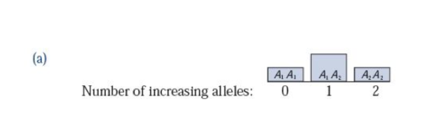 <p><span style="line-height: 115%;"><span>This figure indicates that the correct model for gene A, with alleles A1 and A2, is</span></span></p>
