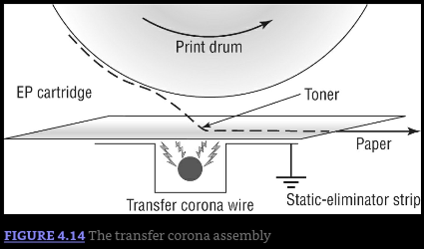 <p>A thin, positively charged wire that attracts negatively charged toner particles off the drum and onto the paper. Requires extremely high voltages causing it to have a particularly dangerous power supply</p>
