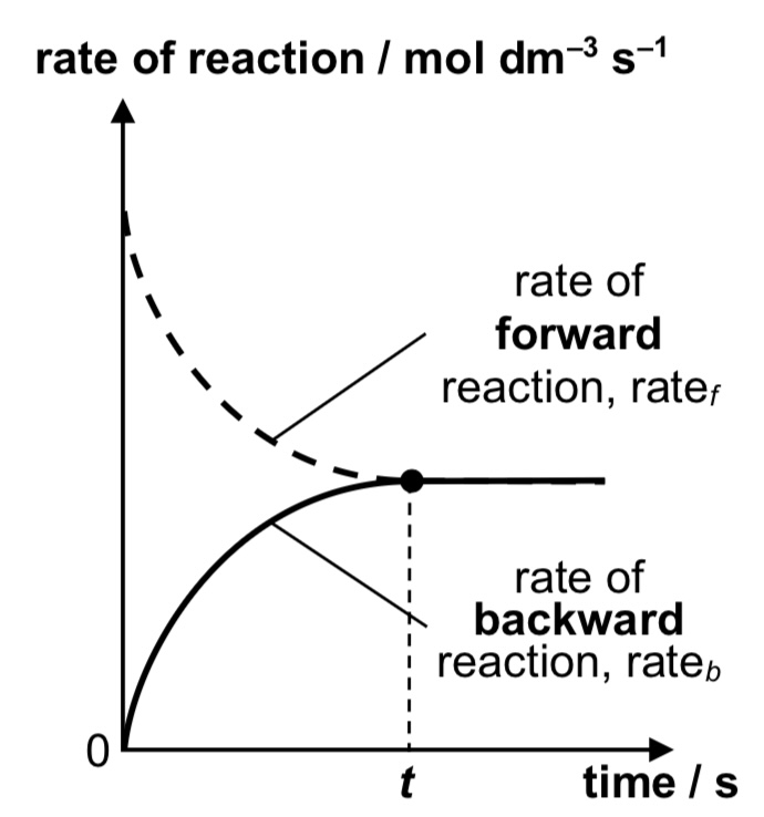 <p>rate of reaction-time graph for A + B ⇌ C + D</p>