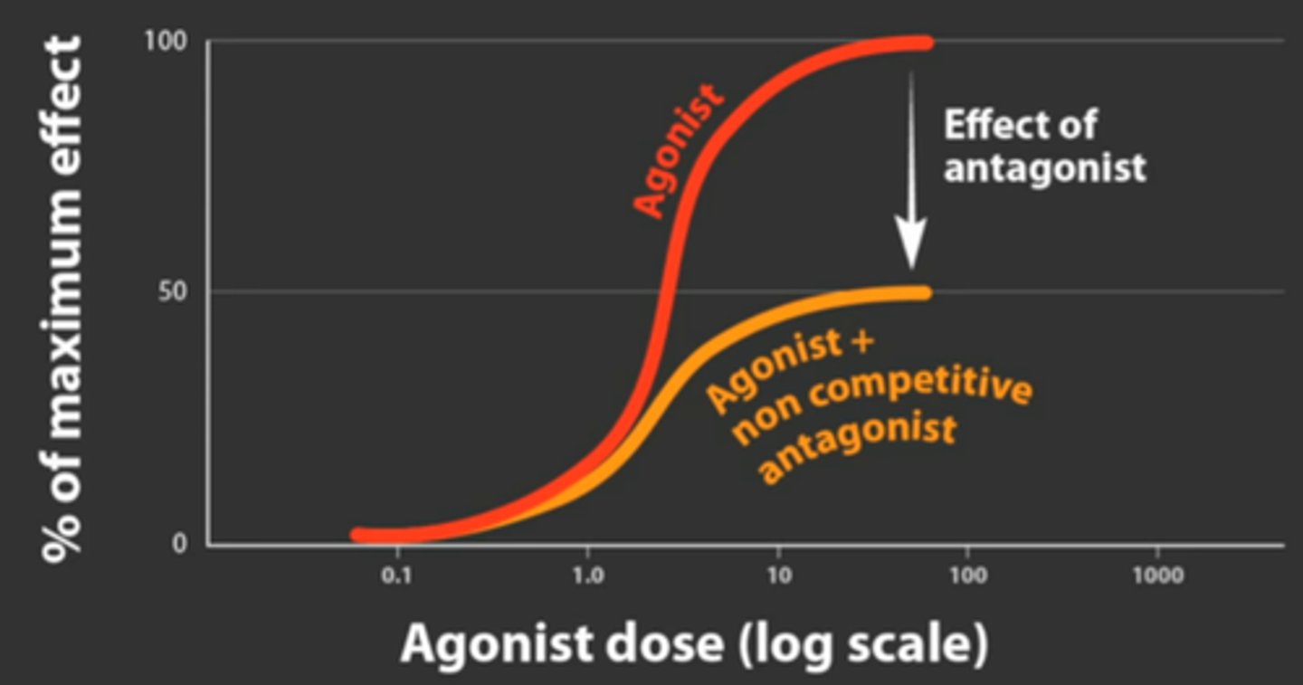 <p>A(n) ___has the opposite desired action of a___muscle?</p>