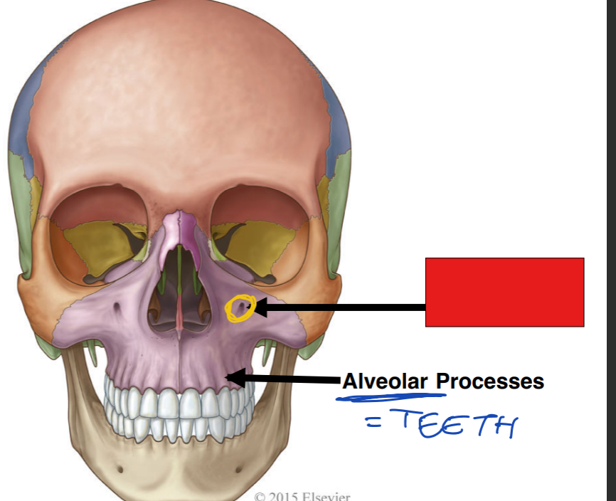 <p>fill in the red box:</p>