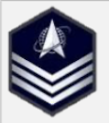 <p>Delta, globe, 3 chevrons</p>