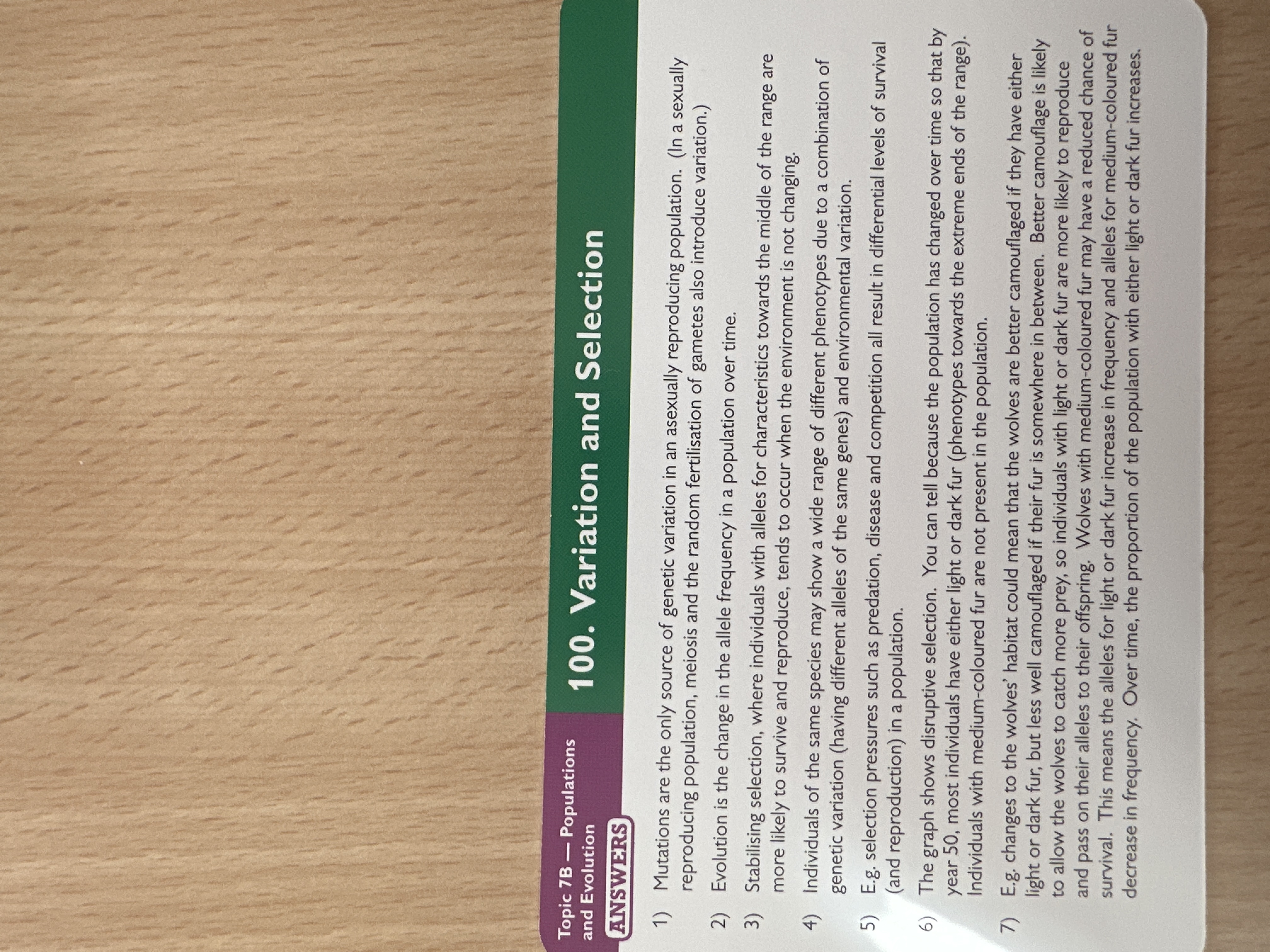 knowt flashcard image