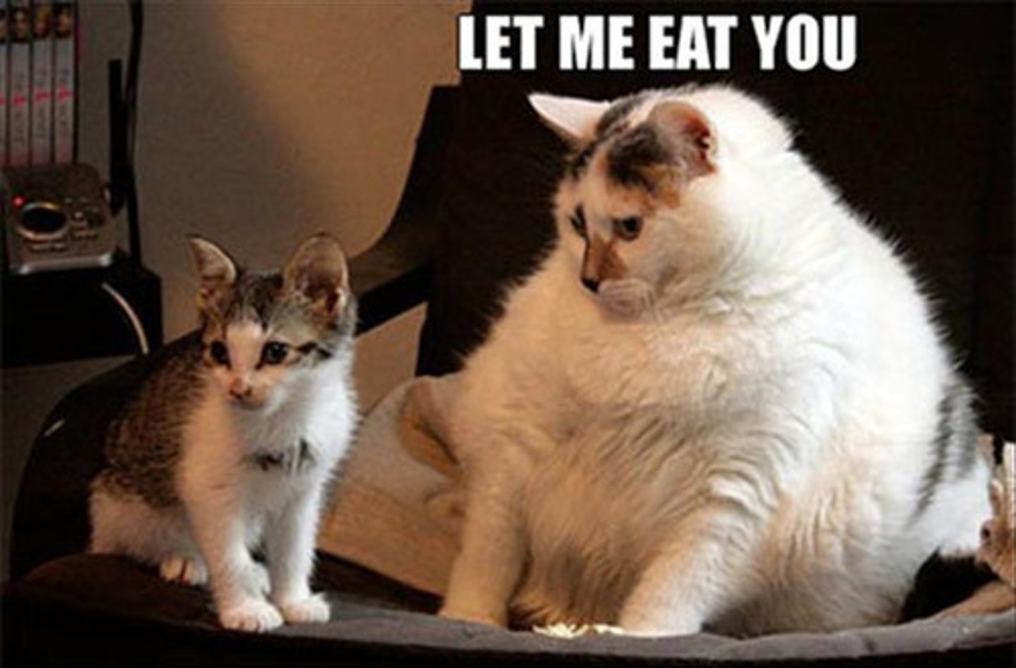 <p>______ is a medical condition in which a person accumulates a potentially unhealthy amount of excess body fat.</p>
