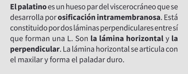<p>Hueso palatino</p>
