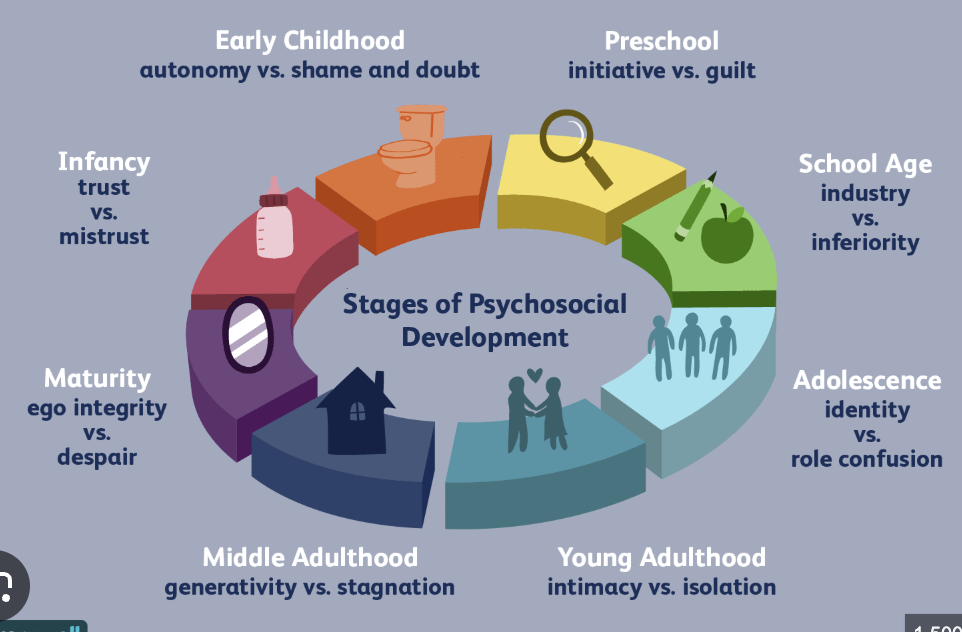 <p>eight psychosocial crises, each involving a conflict (e.g., <strong>trust vs. mistrust, autonomy vs. shame</strong>) that must be resolved to achieve healthy personality growth throughout life.</p>
