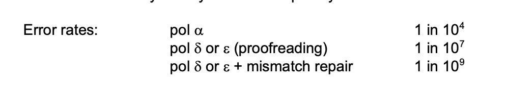 <ul><li><p>pol alpha is the worst</p></li><li><p>pol gamma or epsilon</p></li><li><p>pol gamma or epsilon&nbsp;</p></li></ul><p></p>