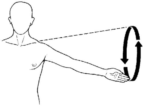 <p>the circular movement at the far end of a limb (moving head in a circular motion)</p>