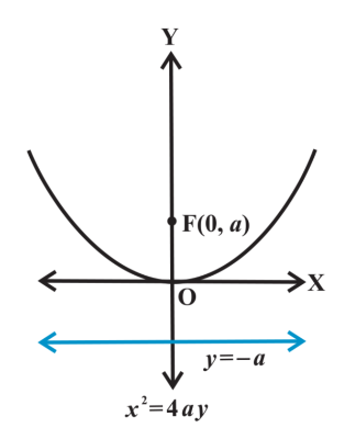 <p>opening of a parabola if p &gt; 0 with <strong>vertical</strong> axis of symmetry and vertex at <strong>(0, 0)</strong> and <strong>(h, k)</strong></p>
