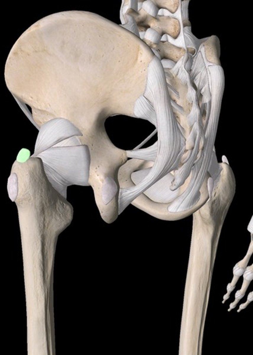 <p>identify, function</p>