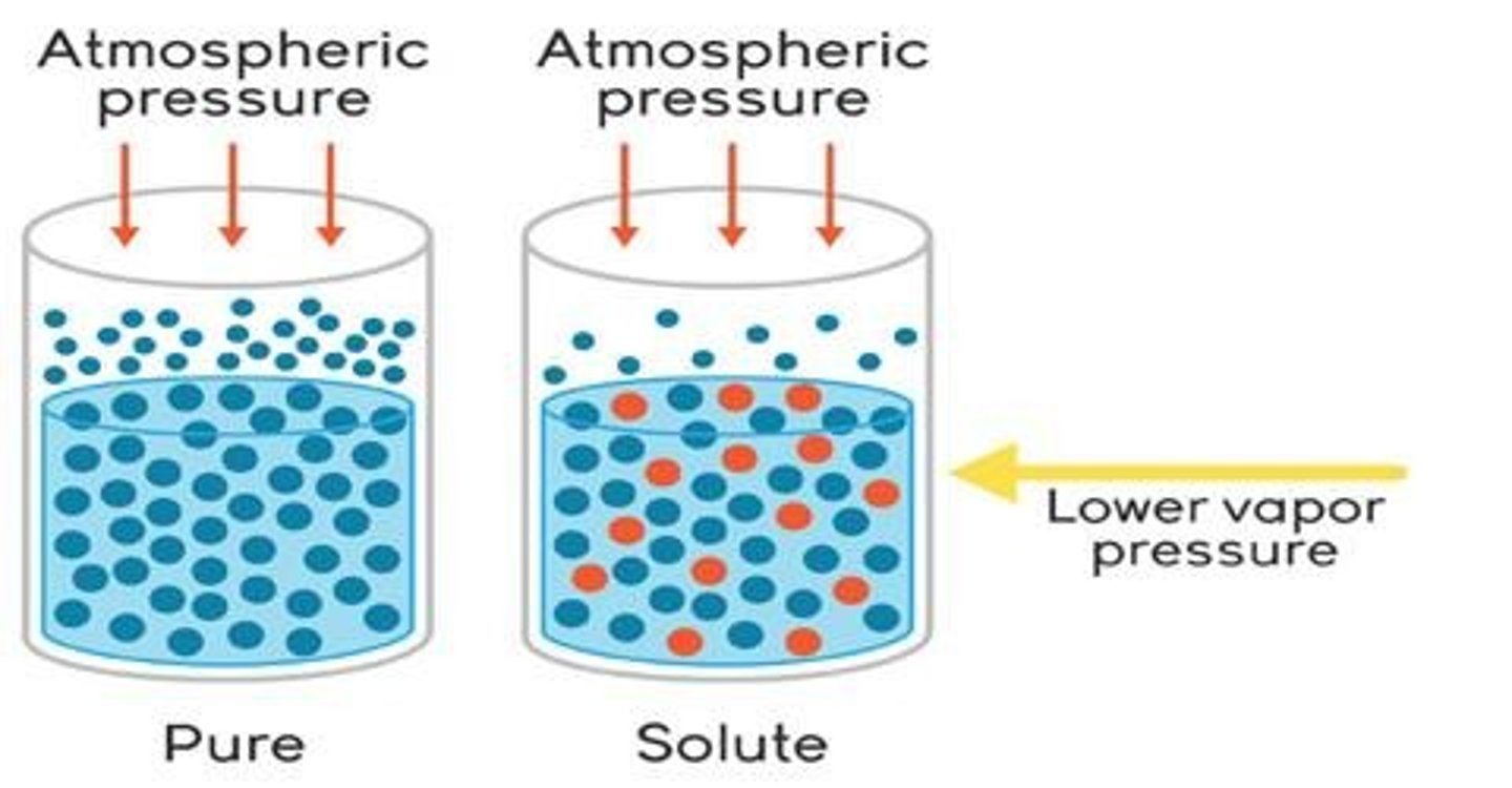 <p>Reduction in vapor pressure due to solute.</p>