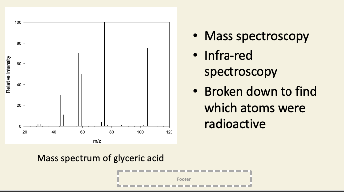 <ul><li><p>After 5 s of photosynthesis, 90% of radioactivity was in COOH of PGA </p></li><li><p>After 30 s, the other two carbons also became labelled → acceptor molecule regenerated from its products&nbsp;</p></li></ul><p></p>