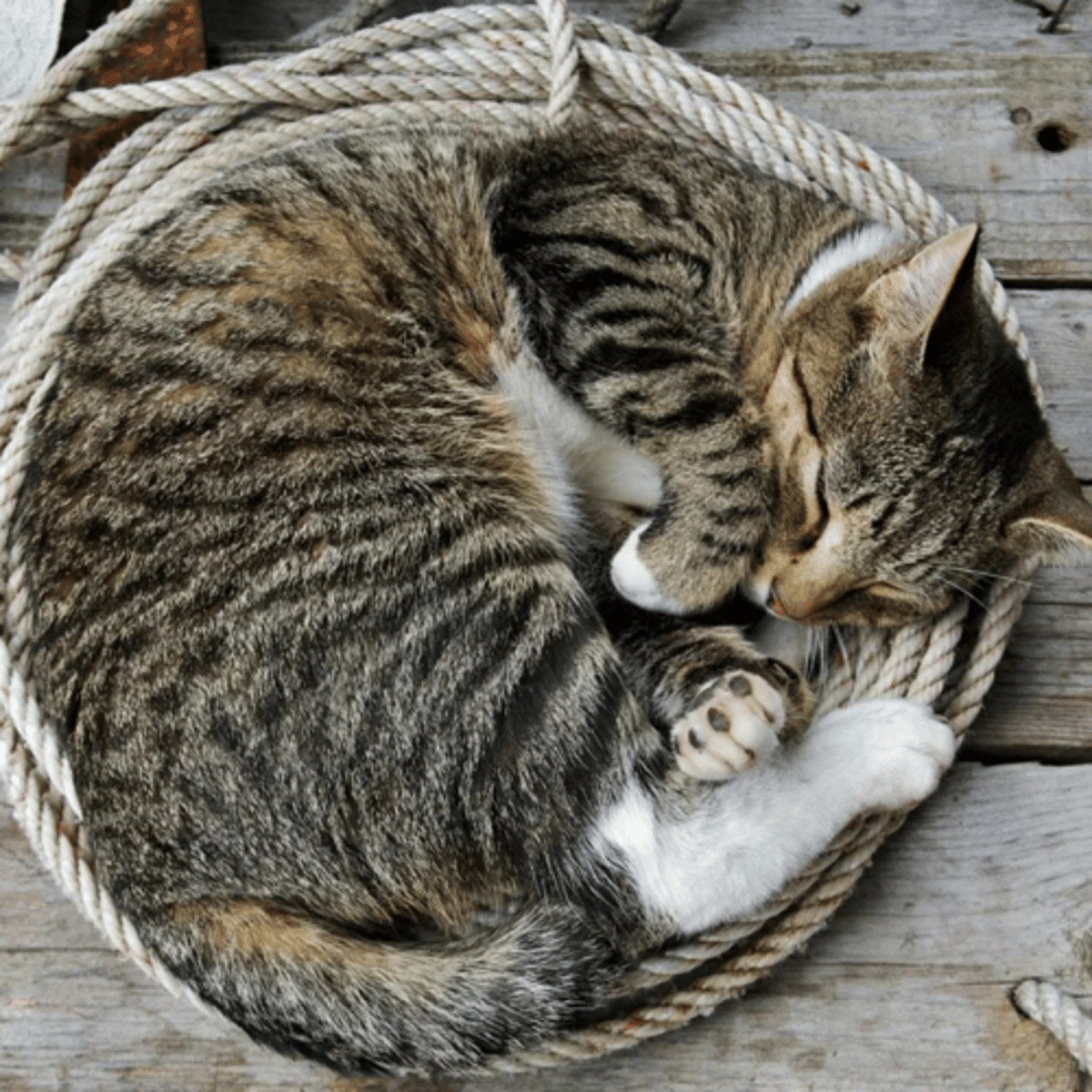 <p>he was in bed</p>