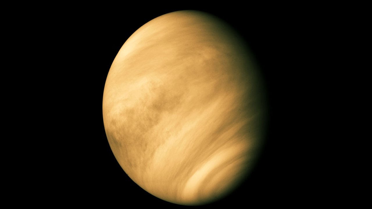 <p>Venus</p>