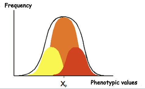 Genotypic variation and Environmental variation