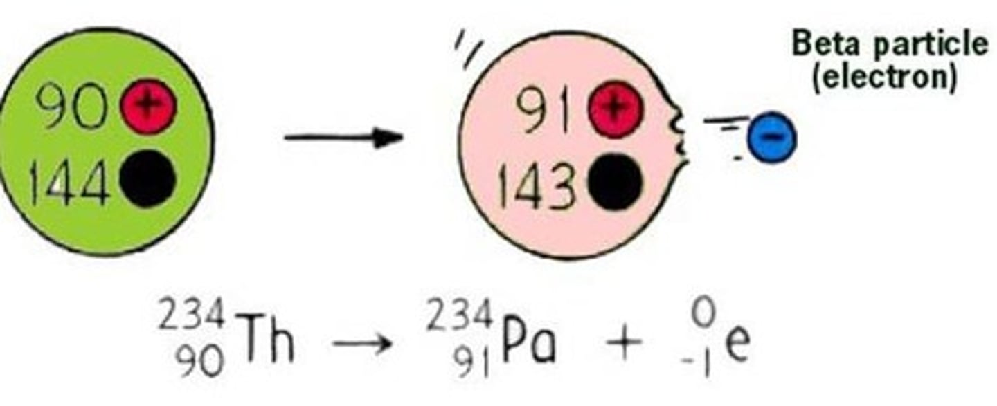 <p>beta decay- electron emitted from nucleus, neutron becomes a proton and electron</p><p>positron emission- beta positive decay, positron (positive charged electron) is emitted, proton becomes a neutron and positron</p><p>electron capture- another type of beta decay, electron absorbed by nucleus, electron and proton become a neutron</p><p>high proton to neutron ratio makes this more likely</p>