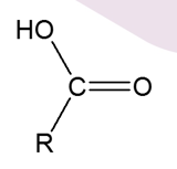 <p>Carboxylic Acid</p>