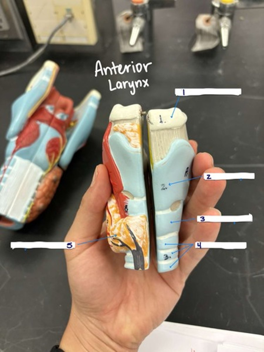 <p>What is number 3?</p>