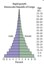 <p>more births than deaths in the population, and that the population is therefore growing rapidly. Because a large proportion of the population is young, the population will grow substantially when the current youth reach their reproductive years and have kids.</p>